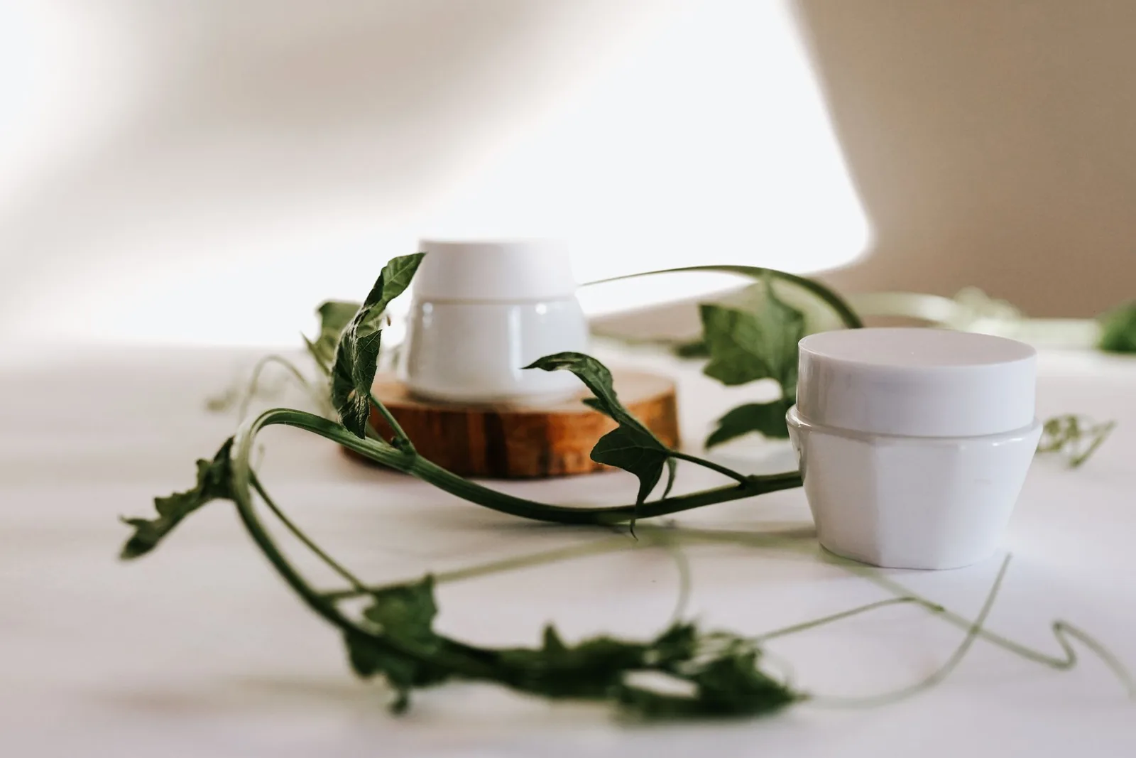 White cream jars with green leaves in a minimalist setting